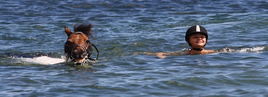 Ostseeschwimmen mit Pferd