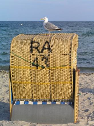 Strandkorb und Möwe